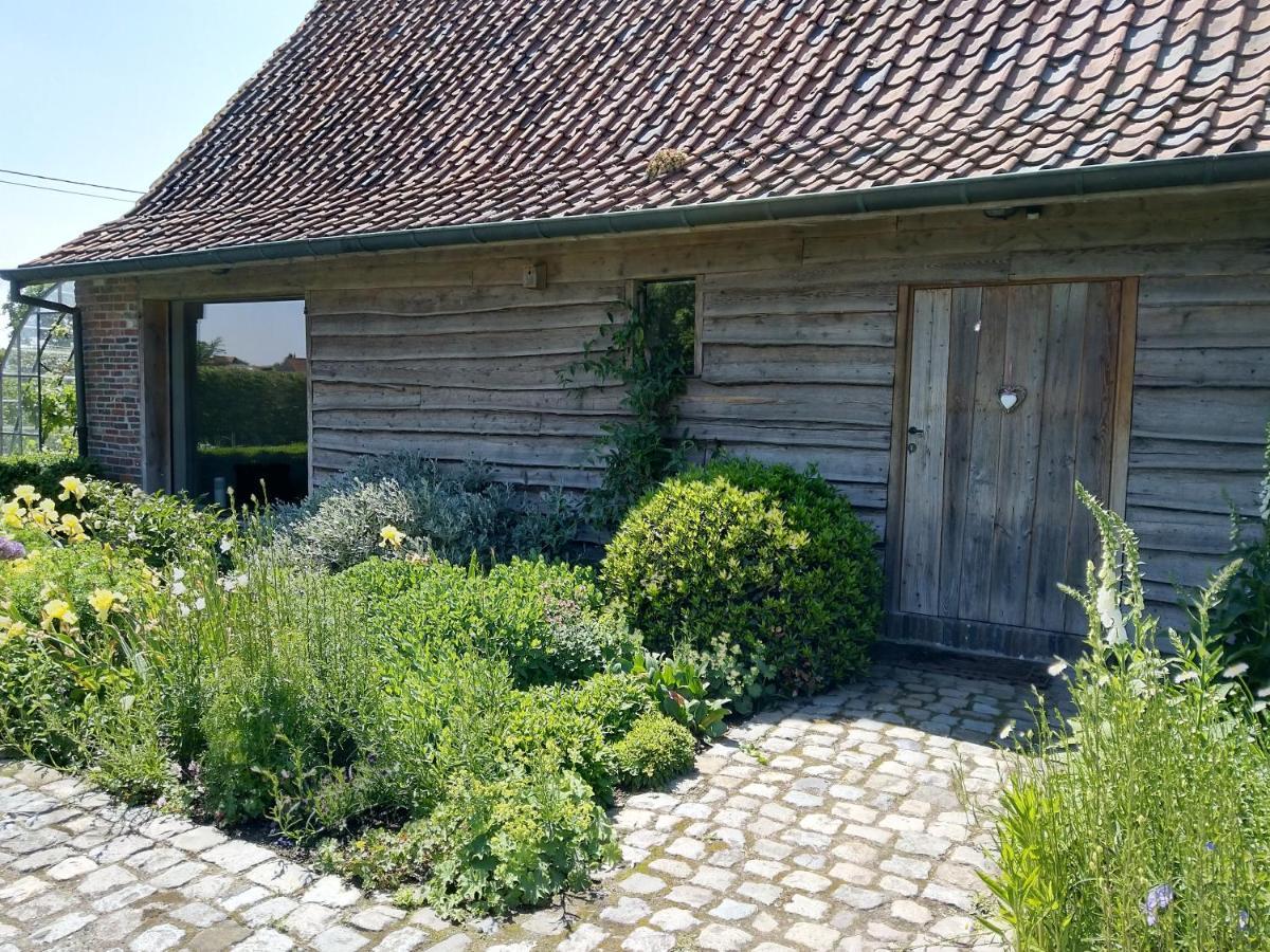 B&B De Hulst Изегем Екстериор снимка