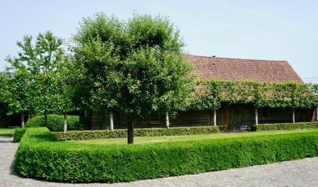 B&B De Hulst Изегем Екстериор снимка